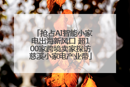 抢占AI智能小家电出海新风口 超100家跨境卖家探访慈溪小家电产业带